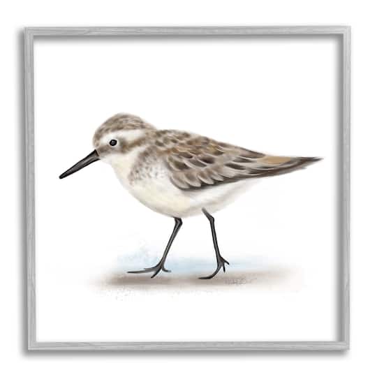 Stupell Industries Nautical Sandpiper Bird on Sand Speckled Feathers in Frame Wall Art